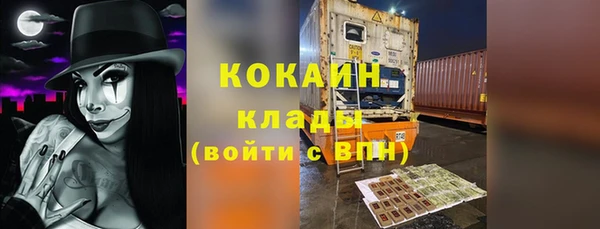 PSILOCYBIN Ладушкин