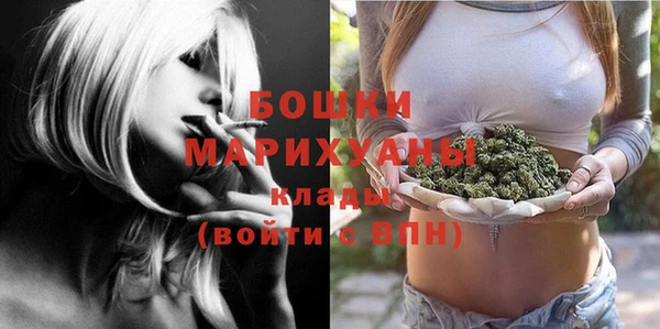 СК Долгопрудный