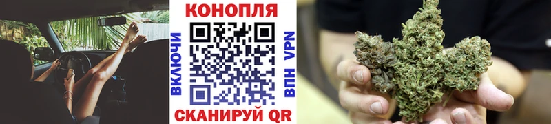 закладка  Талица  Канабис конопля 